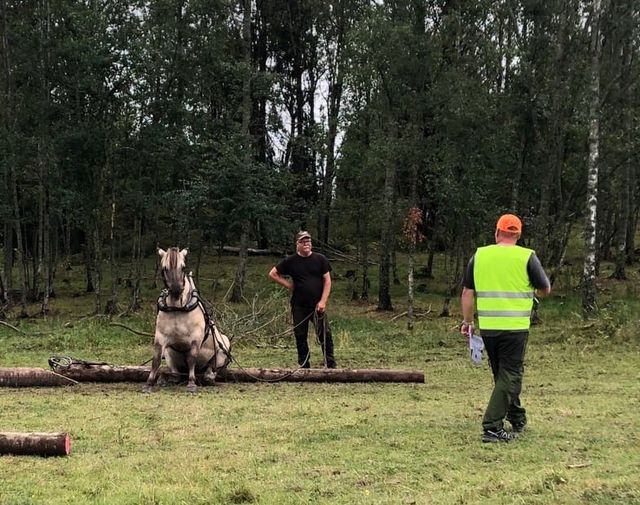 Ikke alltid det går som ønsket i konkurranser